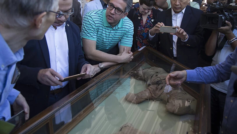 In der altägyptischen Totenstadt Sakkara südlich von Kairo haben Archäologen eine Kammer mit wertvollen Statuen und mumifizierten Tieren entdeckt.