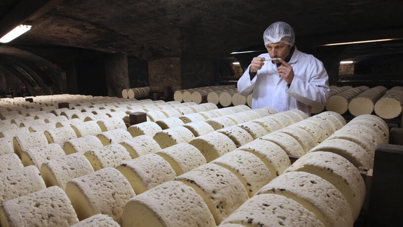 Soll für den Export in die USA nach dem Willen von US-Präsident Donald Trump besteuert werden: französischer Roquefort-Käse. (Archivbild)