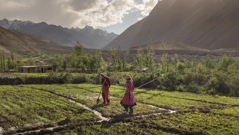Zwei Frauen pflegen ihr Kartoffelfeld im Chipursan-Tal, Pakistan. Diese Region ist Teil des Indus-Einzugsgebiet, das laut Studie das am stärksten beanspruchte gletschergestützte Wassersystem der Welt ist. Erfahren Sie mehr unter natgeo.com…