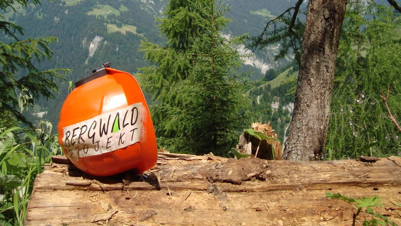 Auch hier in Fanas waren die Freiwilligen des Bergwald Projekts schon im Einsatz.