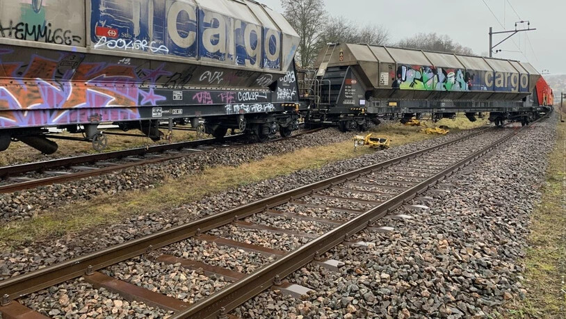 Bei einem Bahnunfall ist am Montagnachmittag in Schaffhausen ein Güterwagon einer Zugkomposition entgleist. Es entstand Sachschaden. Verletzt wurde niemand.