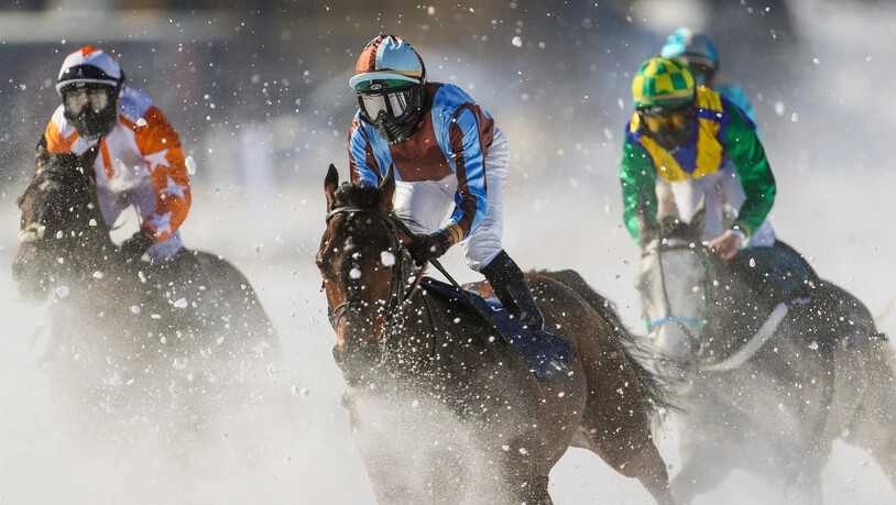 Die edlen Vollblüter galoppieren am Sonntag um 111'111 Franken.