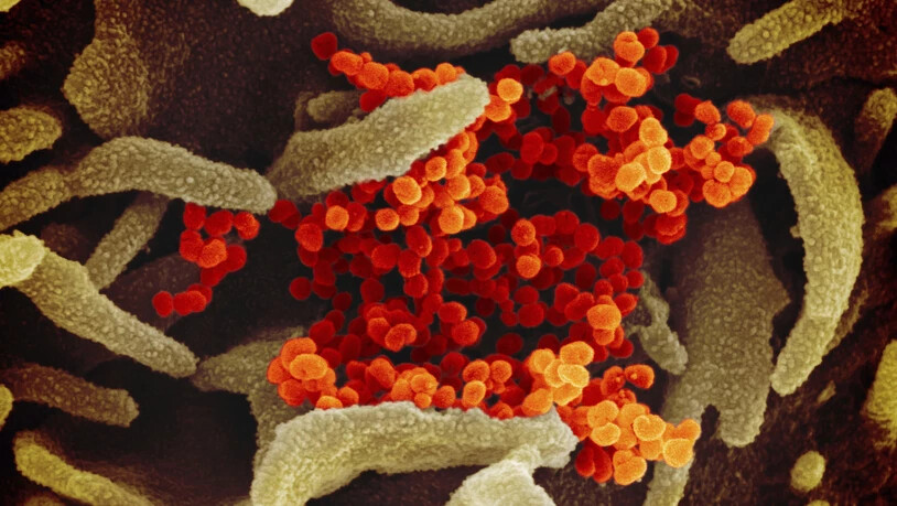 Trotz zunehmender Anzahl an Coronavirus-Erkrankten in Italien hat das Bundesamt für Gesundheit (BAG) für die Schweiz keine weiteren Massnahmen wegen des Virus getroffen.