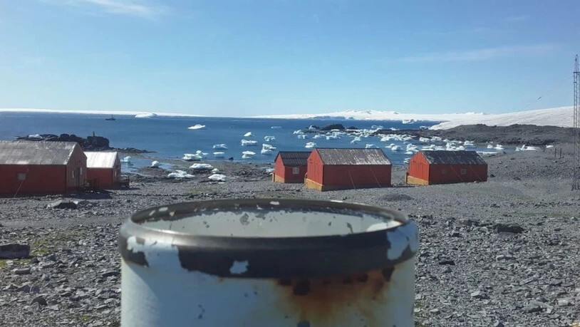In der Argentina National Meteorological Service Base Esperanza in der Antarktis war es am Donnerstag 18,3 Grad warm, etwa gleich wie gleichzeitig im sonnigen Kalifornien.