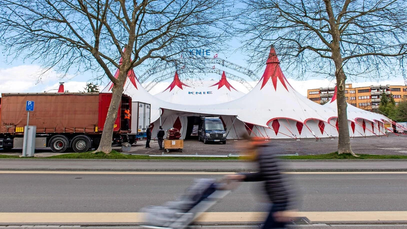 Tournee-Start vertagt: Die Premiere des Circus Knie in Rapperswil ist abgesagt - die hiesigen Vorstellungen sind auf November verschoben.  Bild: Pascal Büsser
