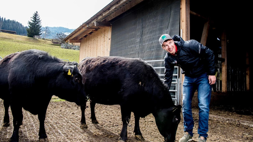 Sportler und Bauer: Arno Lietha begrüsst im Laufstall sein Lieblingsrind Ronya.