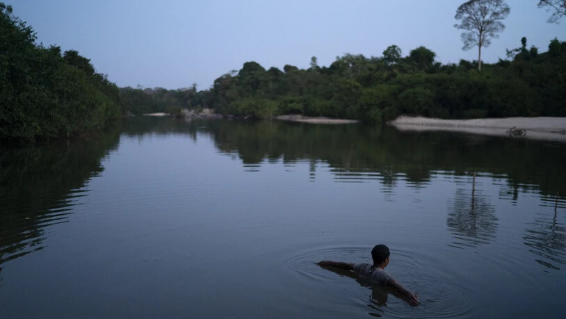 Im Amazonasgebiet von Brasilien stecken sich immer mehr Indigene mit dem Coronavirus an. (Archivbild)