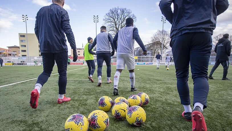Die Spieler des FC Zürich erhalten in Bälde einen neuen Teamkollegen