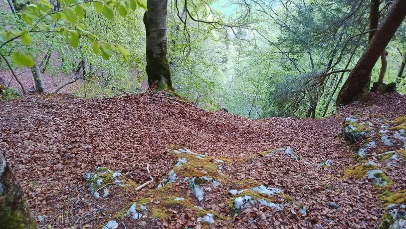 Dieses Polizeifoto beweist, dass der Weg oberhalb von Diesbach, den die verunglückten Frauen gegangen sind, kaum zu finden ist.