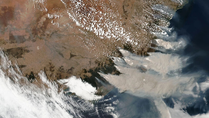 Satellitenaufnahme der verheerenden Buschbrände im australischen Bundesstaat New South Wales. Zügelloses Roden hat laut einer Studie beträchtlich zu den Bränden beigetragen. (Archivbild)