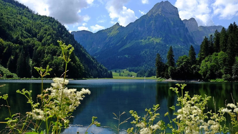 Viele Leute wollen an schönen Tagen ihre Freizeit in der Natur im Oberseetal verbringen.