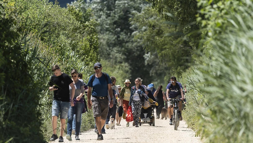 Velofahrer und Wanderer kreuzen sich auf dem Wanderweg zwischen Erlach und der Sankt Petersinsel beim Bielersee im Kanton Bern.
