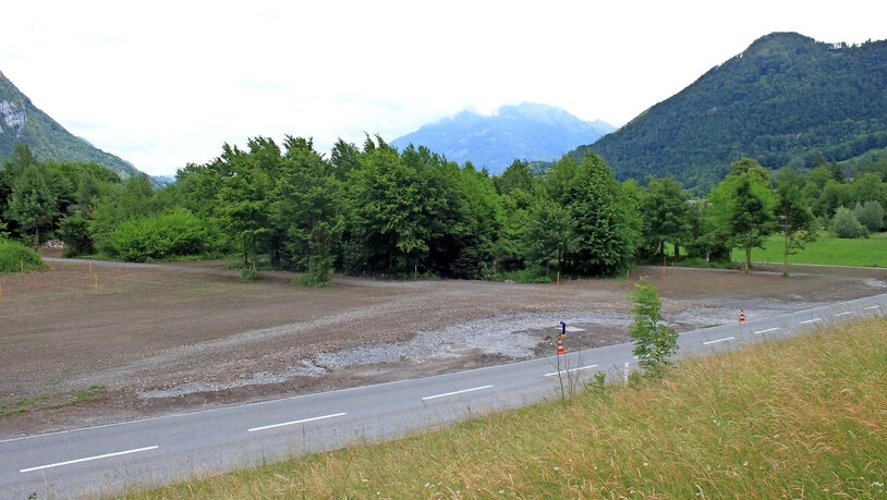 Abgeholzt: Freie Bahn für Wildtiere wie Rehe, Hirsche und Gämsen. 
