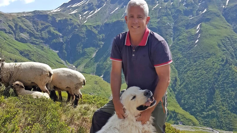 Fredi Bernet hütet mit seinem Hund Schafe.