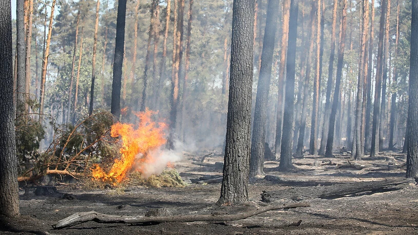 Zahlreiche Kantone mahnen zum sorgfältigen Umgang mit Feuer wegen der zunehmenden Waldbrandgefahr. (Archivbild)