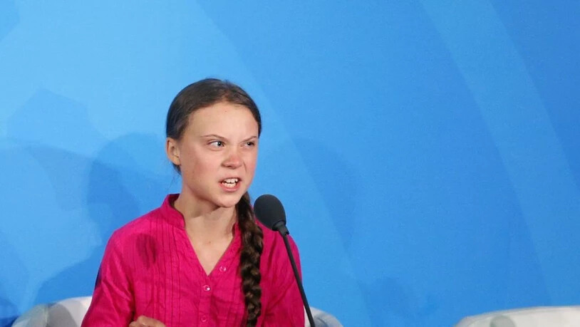 Schon wieder ist eine neu entdeckte Spinnenart nach der Klimaaktivistin Greta Thunberg benannt worden. (Archivbild).