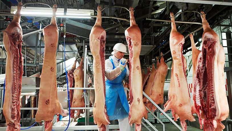 Die Schliessungen von Schlachtbetrieben wegen Corona-Ausbrüchen führt zu einer abgespeckten Fleischproduktion in Deutschland im ersten Halbjahr. (Archivbild)
