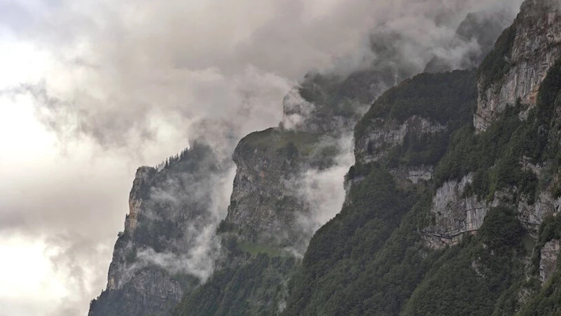 Sasi Subramaniam: «Seit mehr als zwei Monaten fotografiere ich diese besonderen Eigenschaften des Wiggis.»