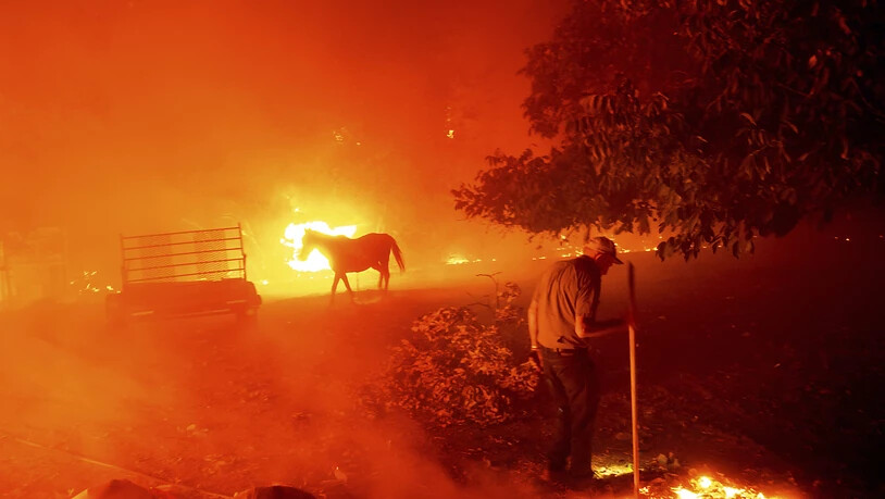 dpatopbilder - Der 84-Jährige Bill Nichols versucht sein Haus vor den Flammen zu retten. In Kalifornien kämpfen mehr als 10 000 Feuerwehrleute gegen zwei Dutzend Großbrände an. Foto: Noah Berger/AP/dpa