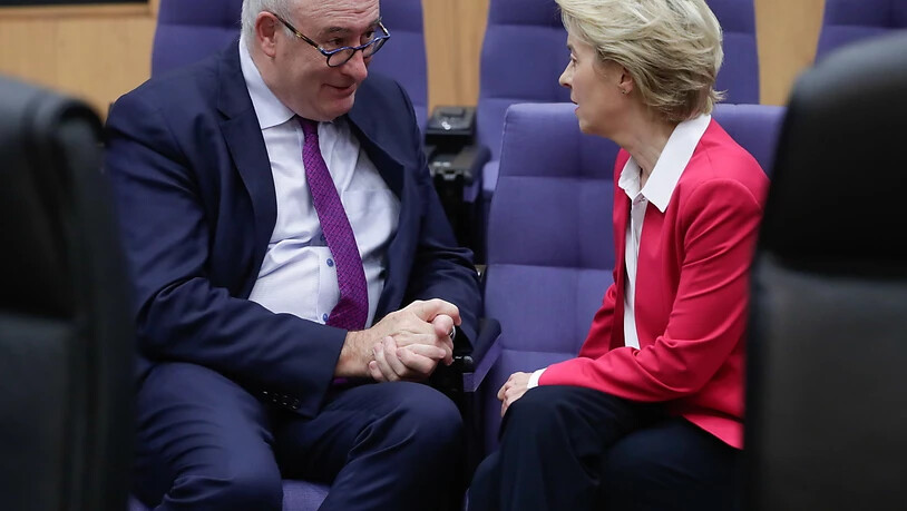 EU-Handelskommissar Phil Hogan - hier im Gespräch mit EU-Kommissionspräsidentin Ursula von der Leyen - steht unter Druck. Der irische Premierminister Micheal Martin fordert Hogan nach einem politischen Fehltritt auf zurückzutreten. (Archivbild).