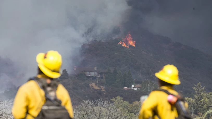 Feuerwehrleute beobachten einen Waldbrand. Foto: Ringo H.W. Chiu/AP/dpa