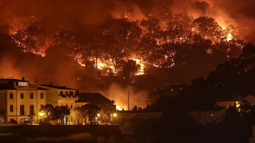 Waldbrände wie hier an der Algarve wüten zunehmend im Sommer in Portugal.
