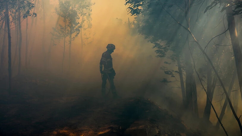 Bei Waldbränden in Portugal ist ein Feuerwehrmann ums Leben gekommen. Im laufenden Jahr sind damit bereits fünf Feuerwehrleute durch Brände getötet worden. (Archivbild)