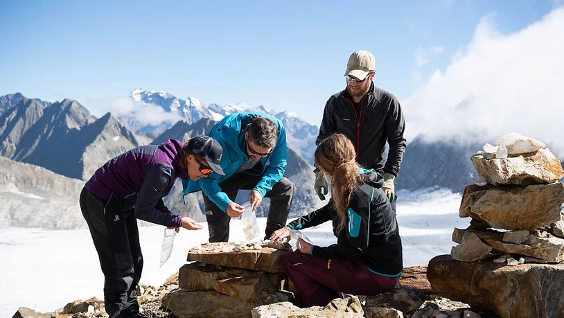 Archäologen graben in 2800 Metern Höhe nach Spuren der ersten Strahler