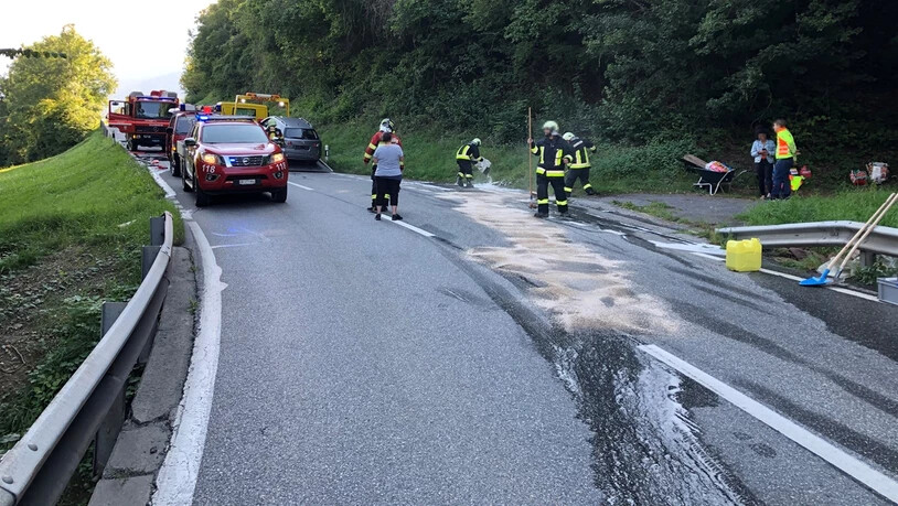 Die Feuerwehr Churwalden konnte den Brand rasch löschen.