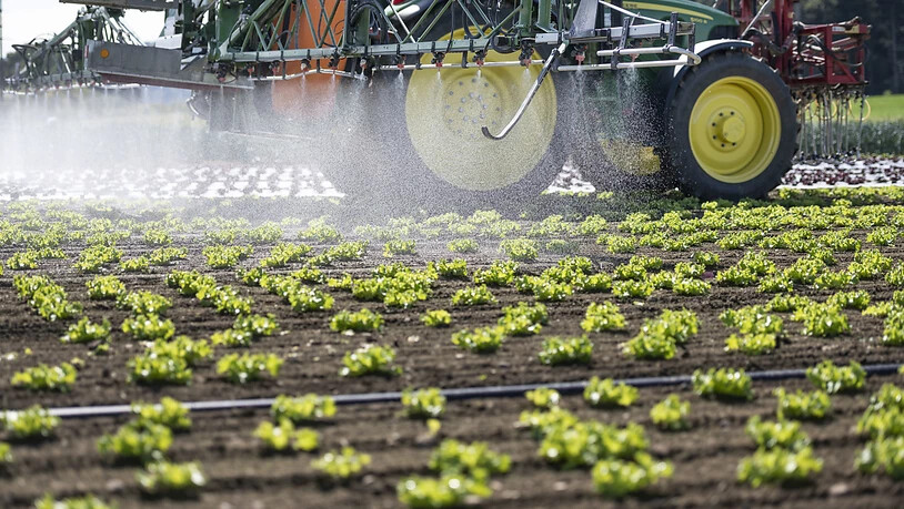 Der Ständerat will den Einsatz von Pestiziden vermindern und hat dazu eine eigene Gesetzesvorlage verabschiedet. (Themenbild)