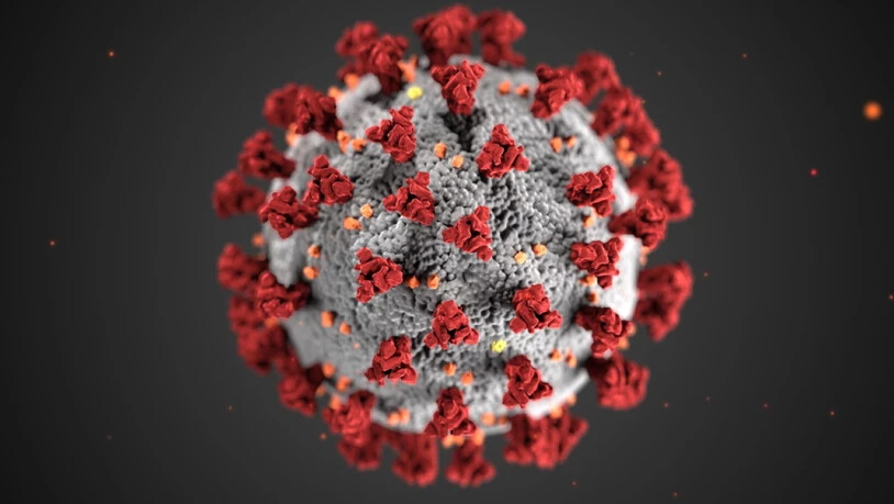 Die Covid-19-Taskforce des Bundes hält nichts von einer Durchseuchung der Bevölkerung mit dem Coronavirus.