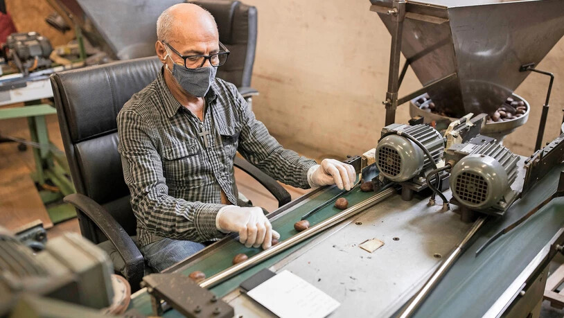 Eindrücke von der Gentile Marroni Distribuzione GmbH in Schwanden.