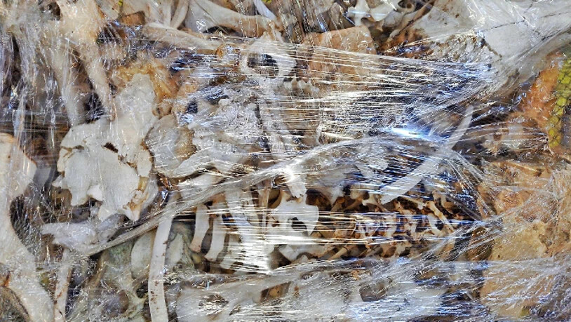 Corona-Kunst im Güterschuppen: Ein Kiste mit Knochen...