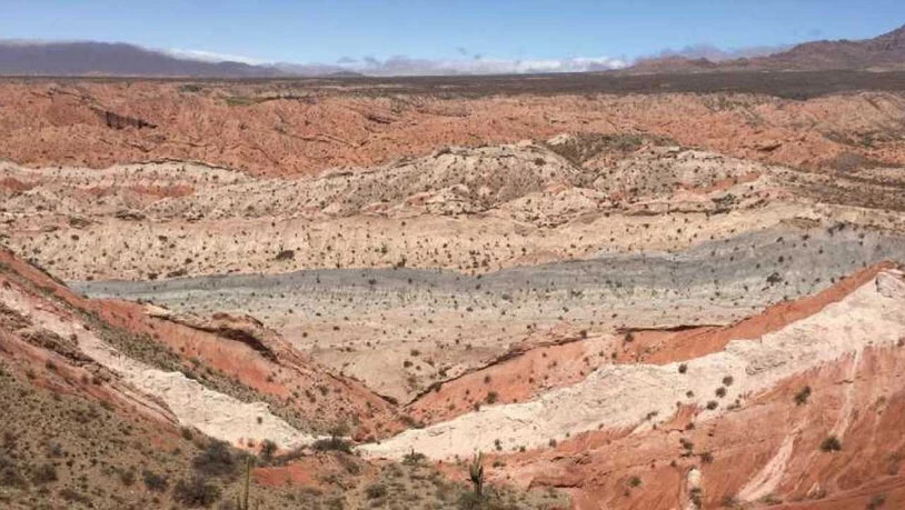 Einst Sumpfboden, heute Halbwüste: Siderite aus dieser Fundstelle in Argentinien gewähren einen Blick ins Klima der Vergangenheit.