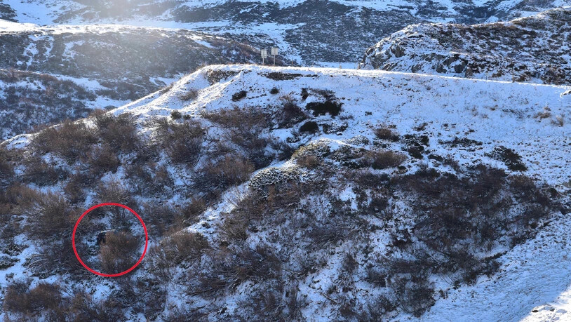 Das Auto stürzte rund 40 Meter tief.