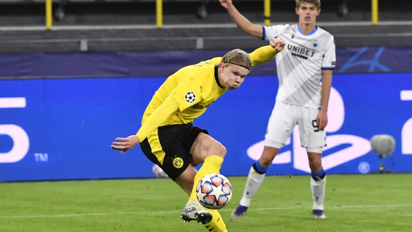 Dortmunds Erling Haaland trifft und trifft - gegen Brügge erneut doppelt