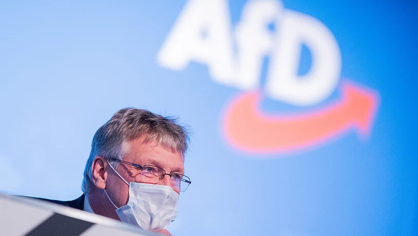 Jörg Meuthen, Bundessprecher der AfD. Foto: Rolf Vennenbernd/dpa
