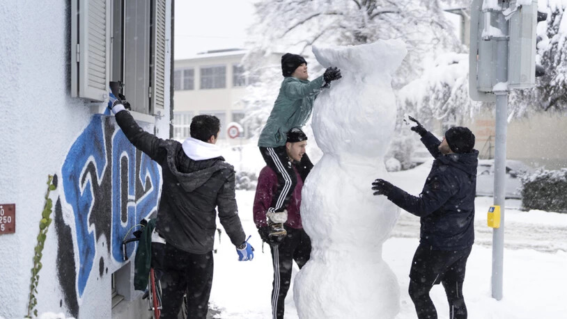 Viel Schnee, viel Spass: Junge Leute beim Schneemann Bauen am Freitag in der Stadt Zürich.