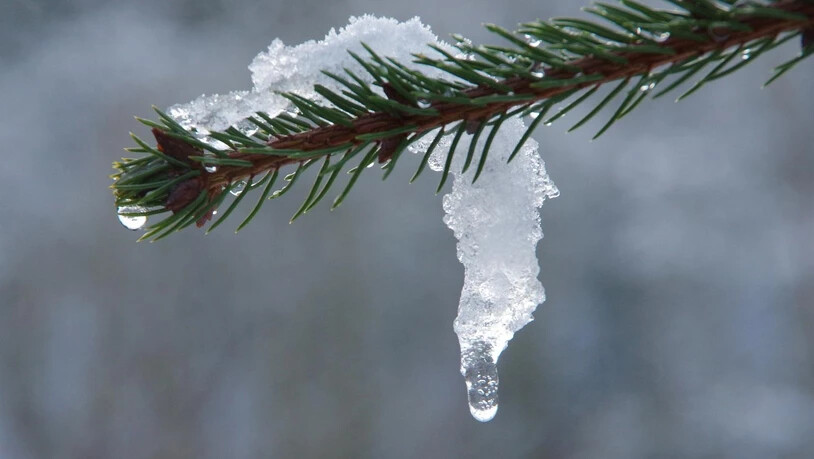 Mit den milderen Temperaturen kommt der Schnee ins Rutschen. 