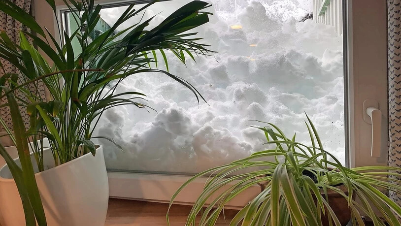 Eindrücklich: Die Schneemassen von Mühlehorn türmen sich vor dem Küchenfenster von Roswitha Zimmermann.