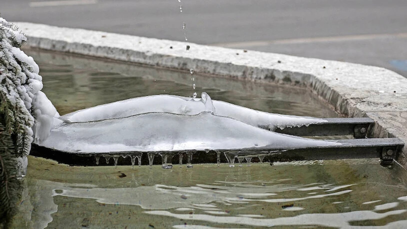 «Wenn ich in den Brunnen von Glarus eine Besonderheit entdecke, mache ich es mir zur Gewohnheit,  das zu fotografieren.»
