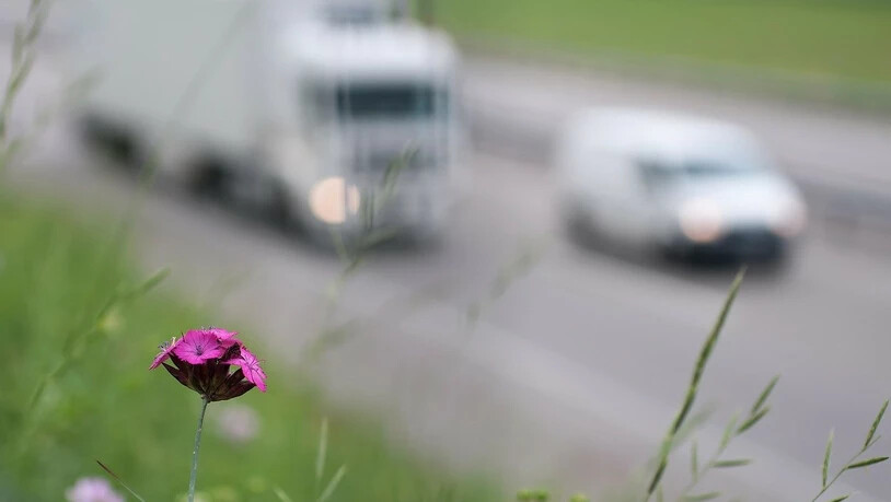 Stickstoffoxide entstehen bei Verbrennungen in Automotoren, in Turbinen und bei Feuerungen und sind giftig. 