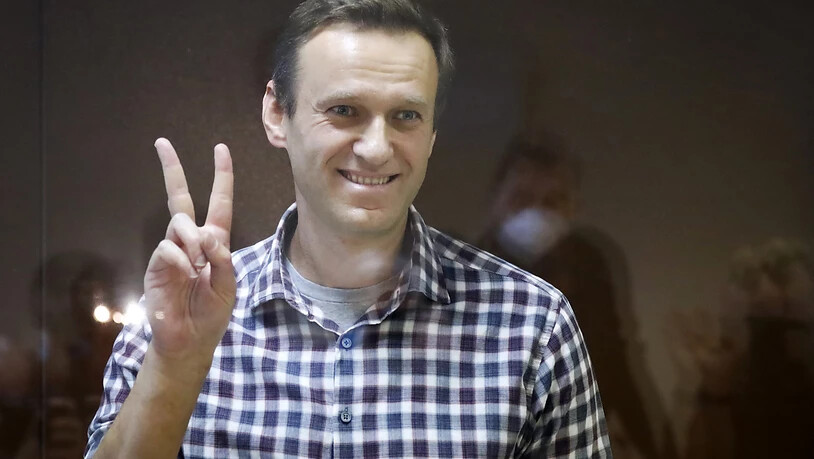 Oppositionsführer Alexej Nawalny steht in einem Käfig im Bezirksgericht. Foto: Alexander Zemlianichenko/AP/dpa