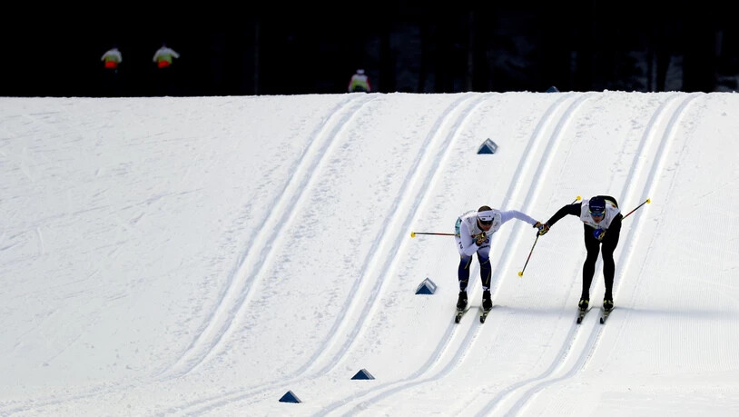 Allein auf weiter Flur: die Langläufer in Oberstdorf