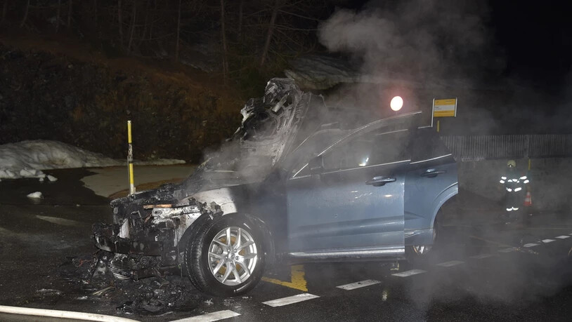 Die ausgerückte Feuerwehr konnte den Fahrzeugbrand rasch löschen.