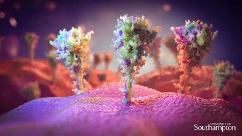 Künstlerische Darstellung von Protein-Stacheln, wie sie sich auf Zellen bilden, nachdem diese dem AstraZeneca-Impfstoff ausgesetzt wurden. Sie ähneln jenen, die der Virus hat. (Pressebild)