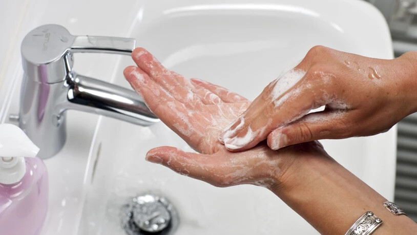 Seife oder Desinfektionsmittel? Seife neutralisiert Lipide und Proteine auf Virenoberflächen und lässt deren Erbgut verklumpen. Der Nachteil: Häufiges Händewaschen kann zu Ekzemen führen, wie deutsche Ärzte warnen. (Archivbild)