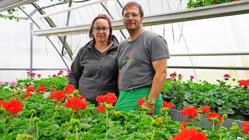 Haben einen grünen Daumen: Michaela Arrigo und Holger Lang leisten mit biologischen Pflanzenschutzmitteln einen Beitrag an die Umwelt. Bild Werner Beerli-Kaufmann