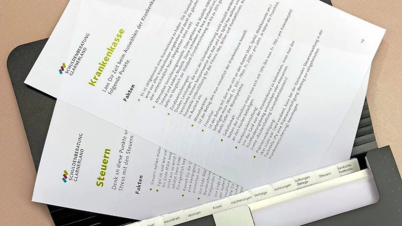 Endlich Ordnung: Wichtige Unterlagen finden ihren Platz in der neuen Mappe.