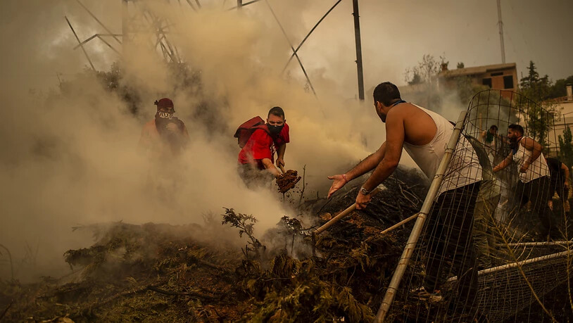 Freiwillige Helfer versuchen einen Waldbrand in einem Waldgebiet nördlich von Athen zu löschen. Foto: Angelos Tzortzinis/dpa